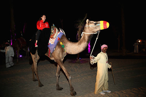 高性价比羽毛球拍推荐：2024年品牌排行榜