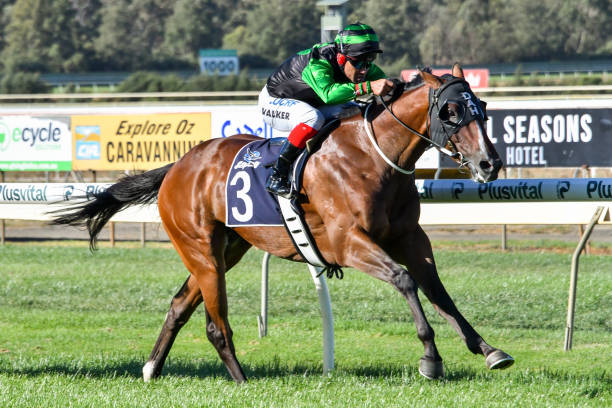 伦纳德封神之战:回顾猛龙队首个总冠军赛季