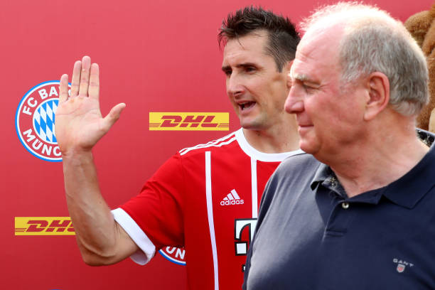 冰王子传奇：博格坎普职业生涯数据全解析