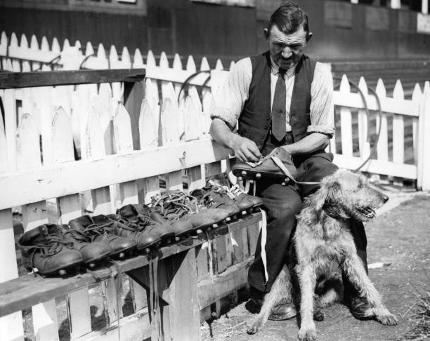 博格坎普妻子亨丽埃特:她如何影响他的职业生涯与人生选择