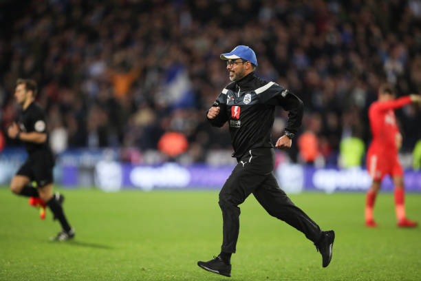 法甲场馆大全：从建筑风格到球迷文化