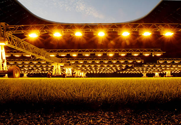 揭秘7+1阵型的核心：单前锋战术的崛起