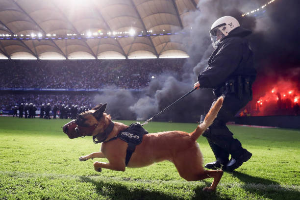 2024年日本足球世界排名：进步还是退步？