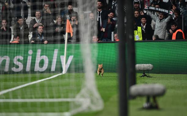 欧冠16强名单揭晓,豪门齐聚谁将问鼎?