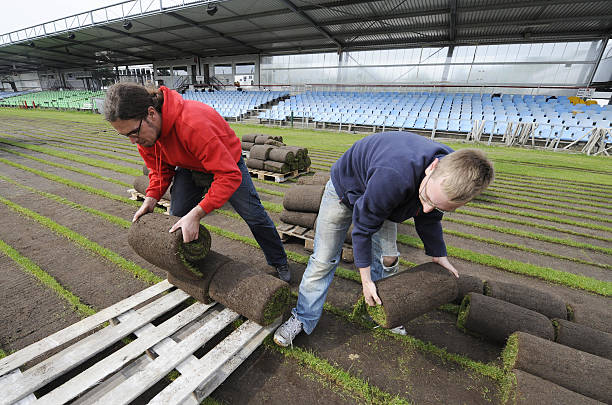 2020欧冠赛程全解析：热刺小组赛关键对决一览