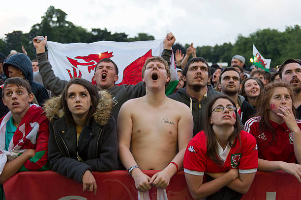 如何通过德甲视频直播 360获取高清流畅的德甲赛事直播体验