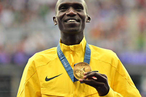 中国奥运金牌分布:夏季与冬季奥运会的对比