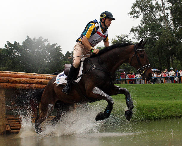 晶晶与奥运精神：友谊、和平与梦想的化身