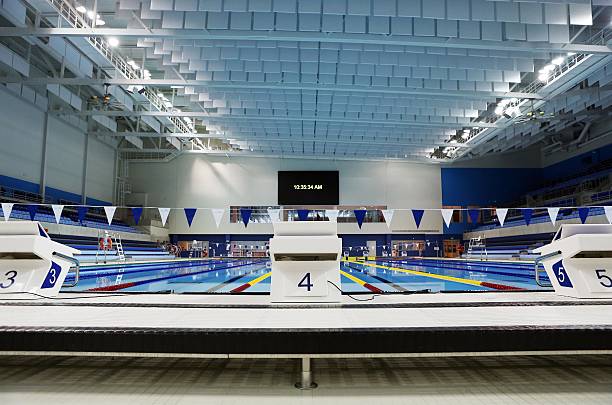 陈芋汐父母是做什么的?他们的职业如何影响她的跳水生涯?