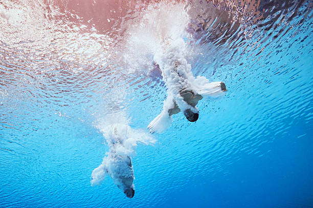 全红婵简历:从湛江农村到东京奥运领奖台的飞跃