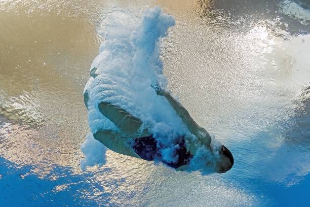 伏明霞老公身家揭秘：豪门背景还是白手起家？