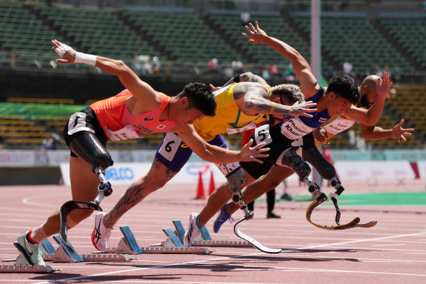 从运动员到教练：陈若琳的双重身份