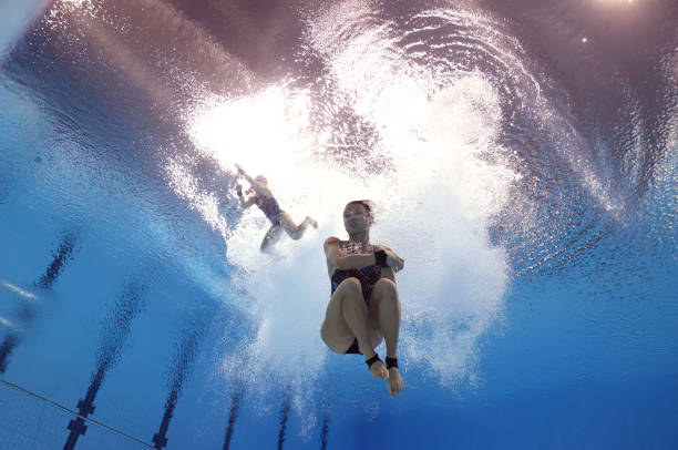 马拉松赛场上的特殊选手:一只乌龟的冠军梦