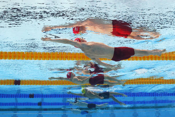 鸭妈妈的游泳课：如何教会小鸭子掌握游泳技巧