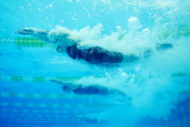 游泳裁判员证对个人技能提升的影响