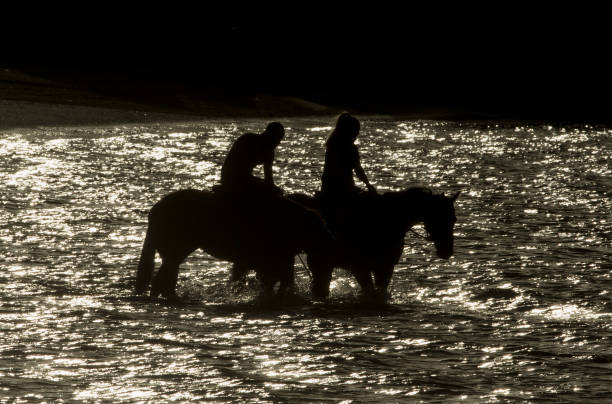 专家解析：游泳对女性腰椎康复的利弊