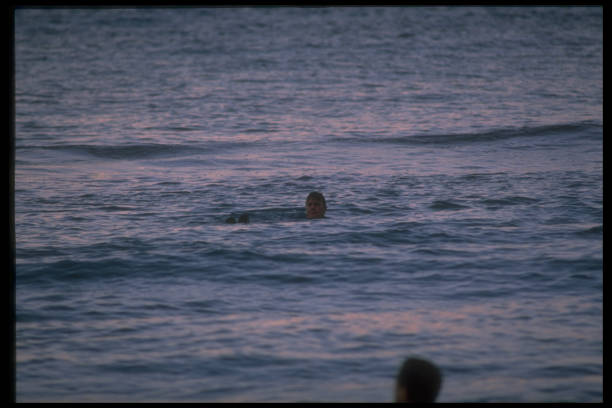 游泳的那个叫什么海洋:一部关于青春与热血的励志故事