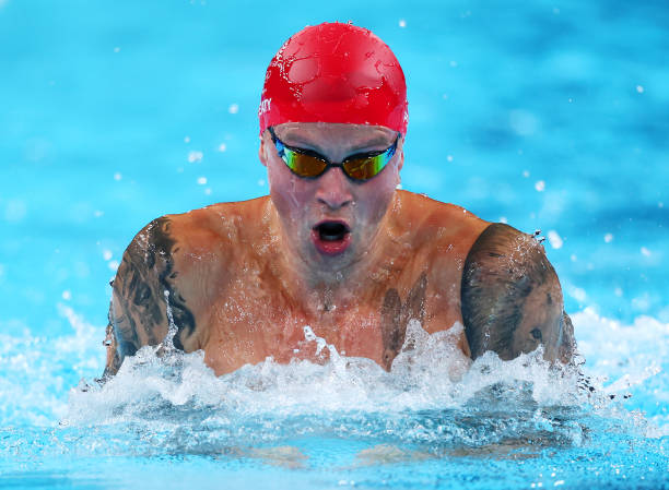 国际泳联世界杯系列赛冠军一览