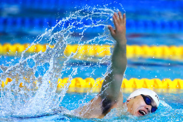 游泳运动员等级查询系统功能详解