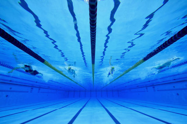 游泳馆浮在水面的长条叫什么名称?