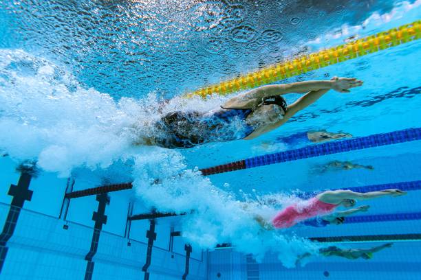 全国游泳等级标准证书查询服务说明