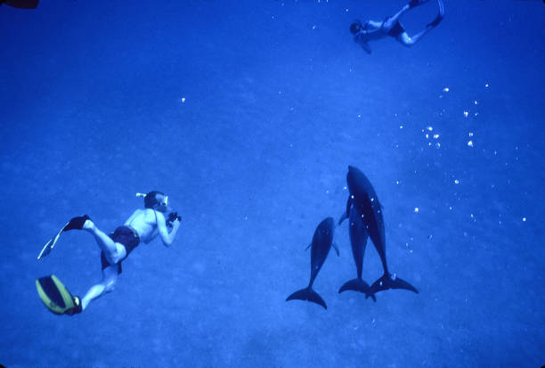 如何预防游泳池中的细菌感染?妇科医生给出建议