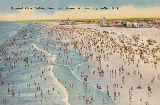 (引入“在线”和“自我评估”概念,适合数字化学习)