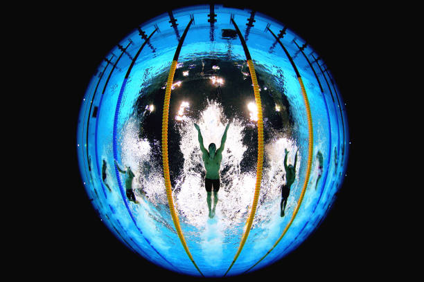 2022全国游泳锦标赛男子冠军:荣誉背后的团队支持与努力