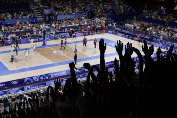 白帆简历深度解析：为何他能成为郎平的最佳伴侣？