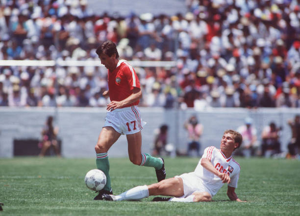 避开夏季高温：2022年世界杯为何选择11-12月举办